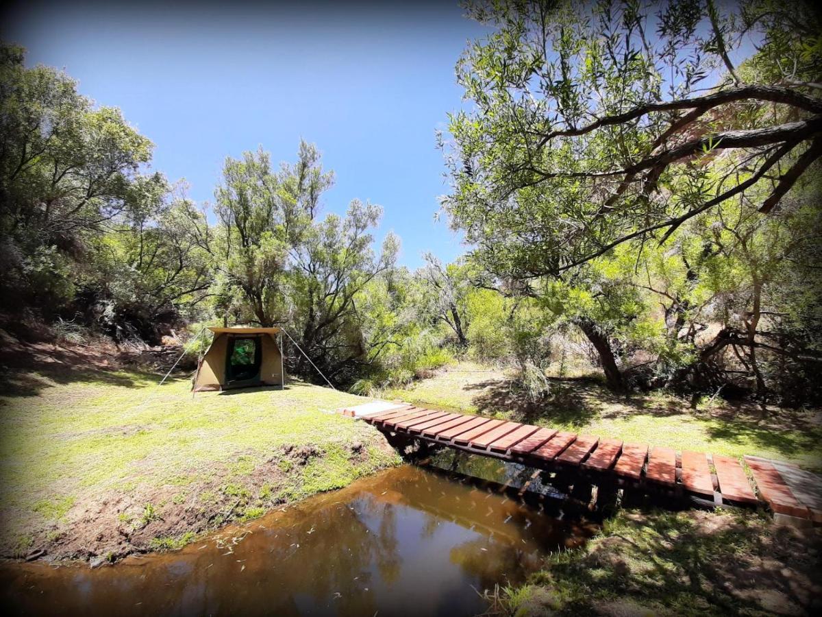 Lylius Cottage And Campsites Clanwilliam Exterior foto